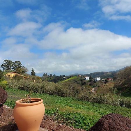 Finca Naturacanaria Moya  Eksteriør billede