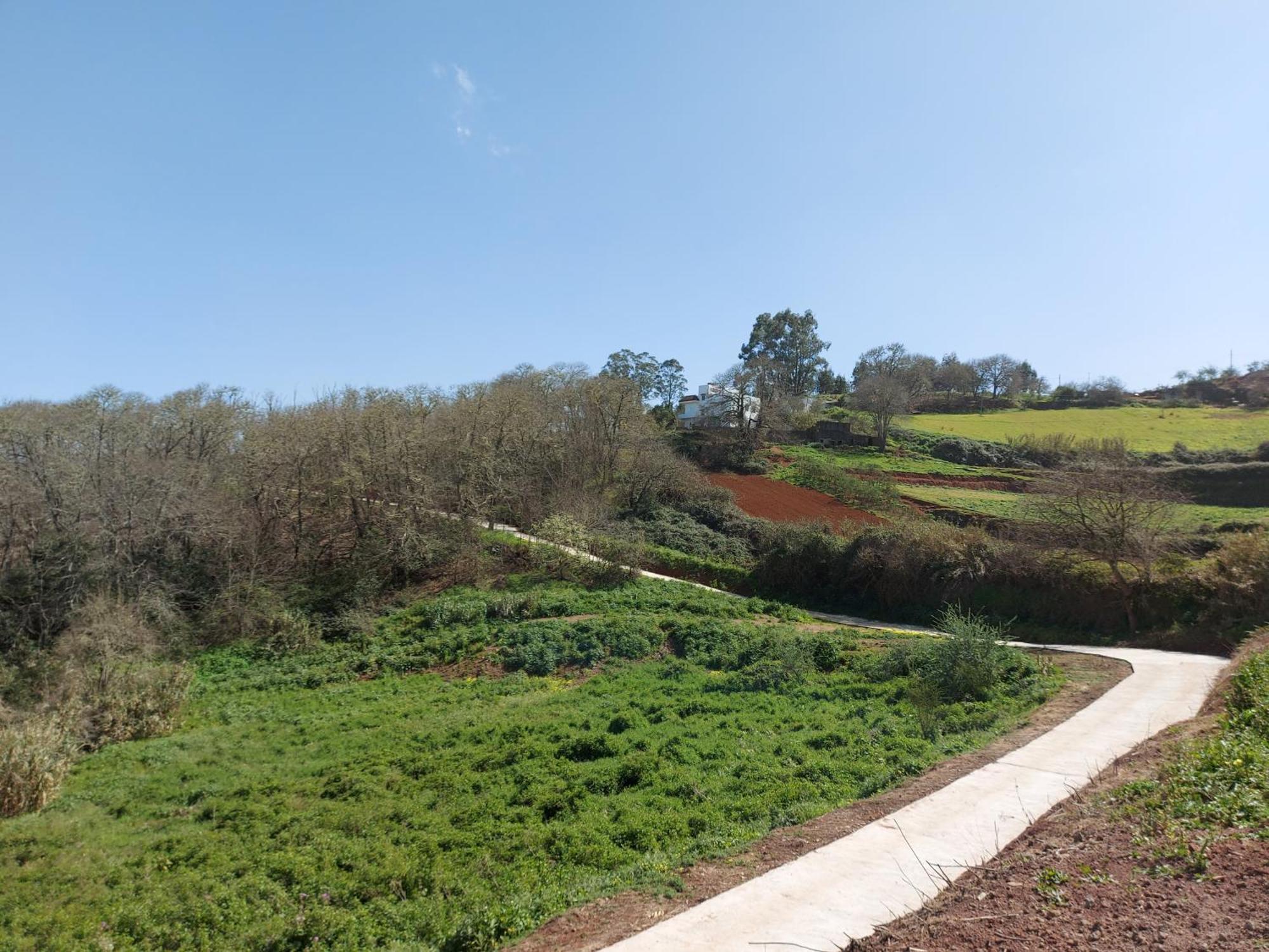 Finca Naturacanaria Moya  Eksteriør billede