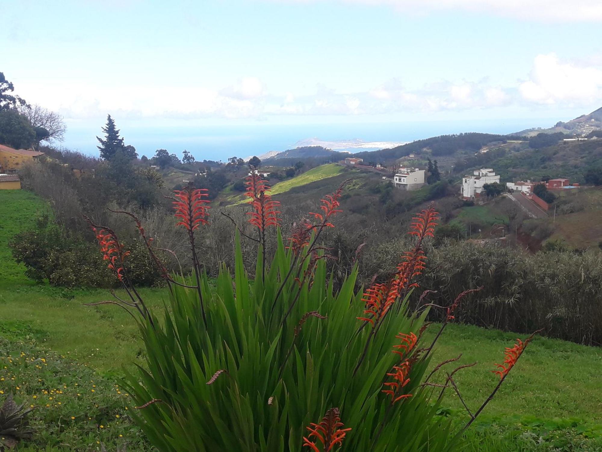 Finca Naturacanaria Moya  Eksteriør billede