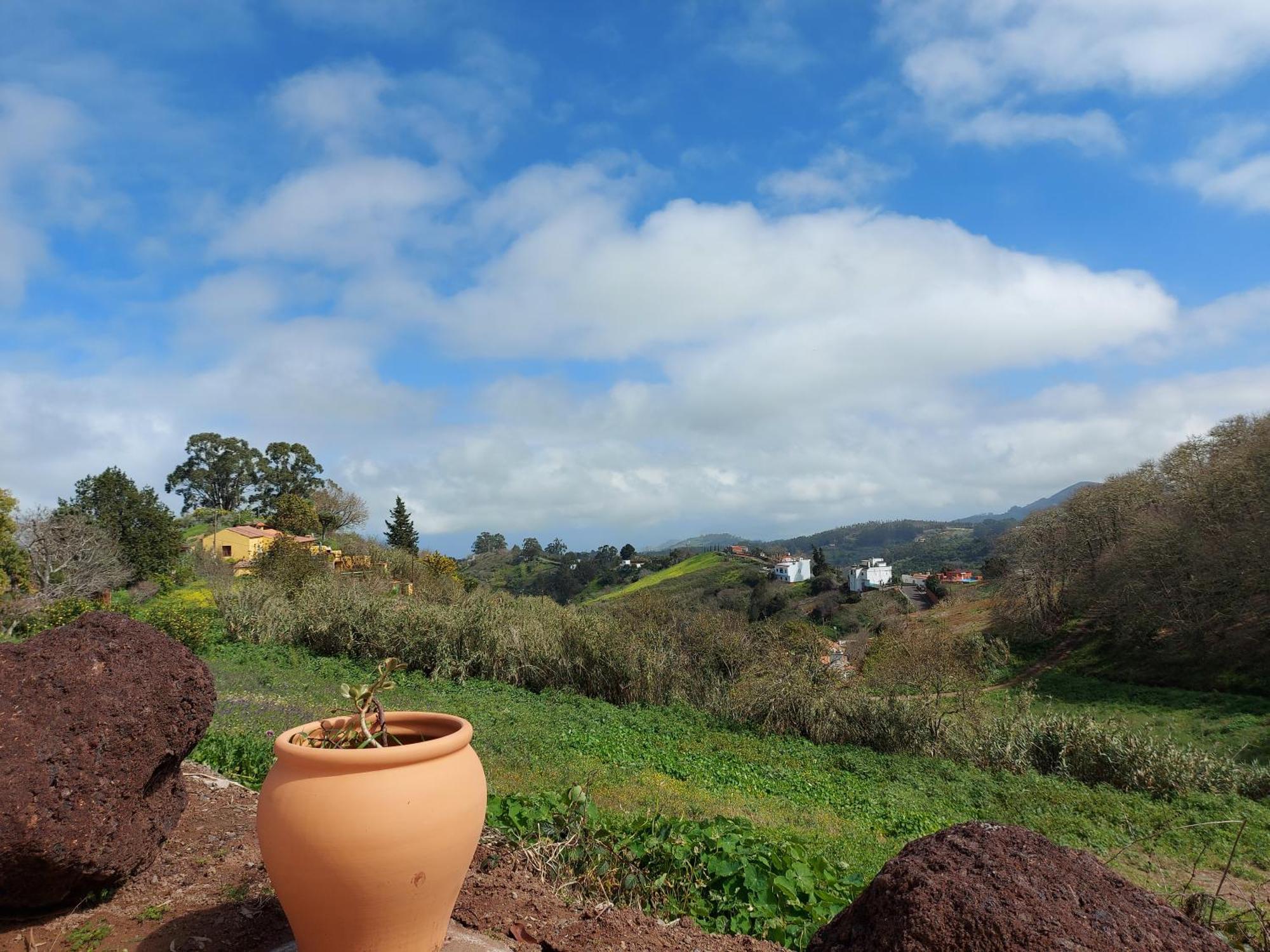 Finca Naturacanaria Moya  Eksteriør billede