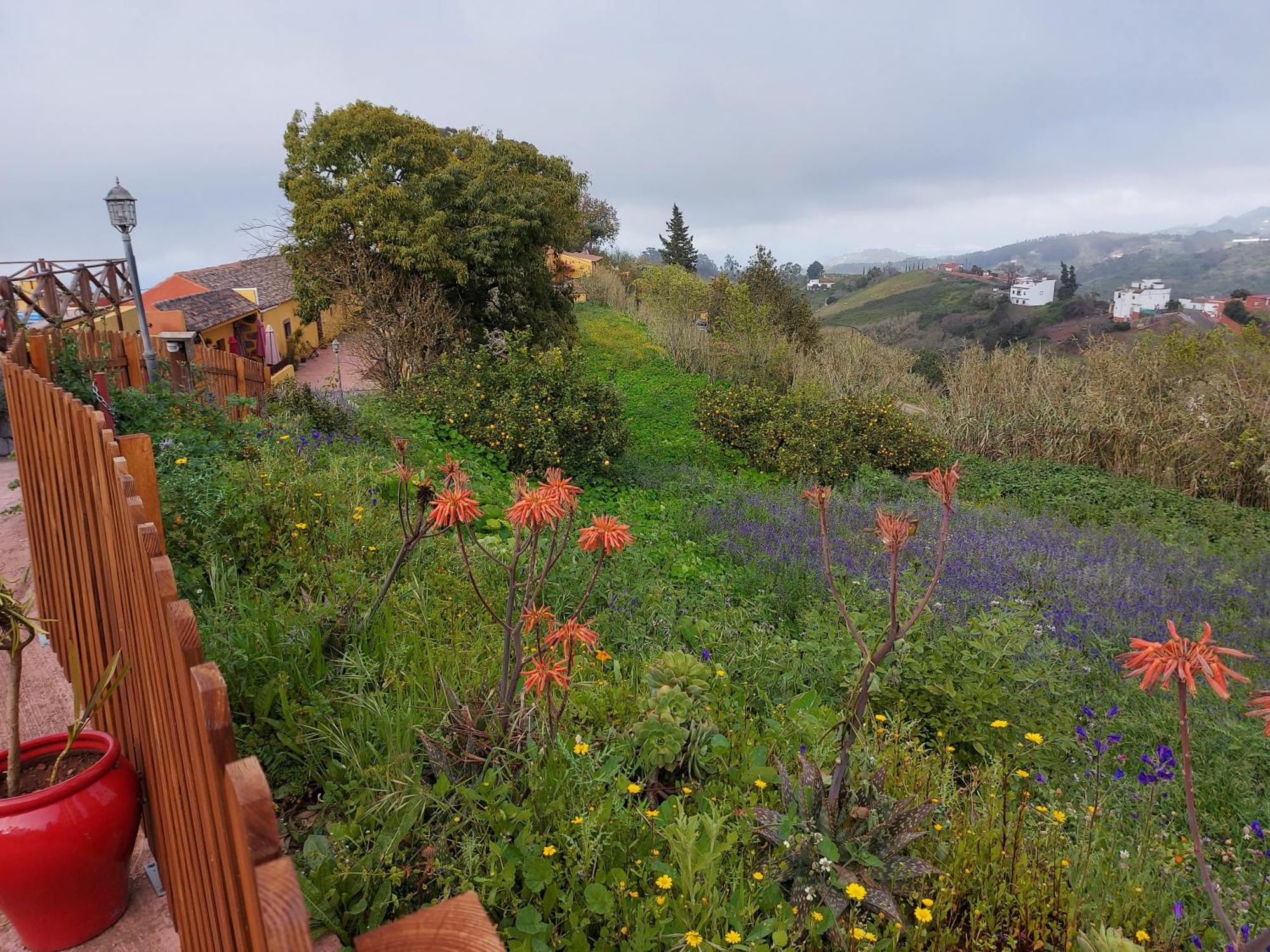 Finca Naturacanaria Moya  Eksteriør billede