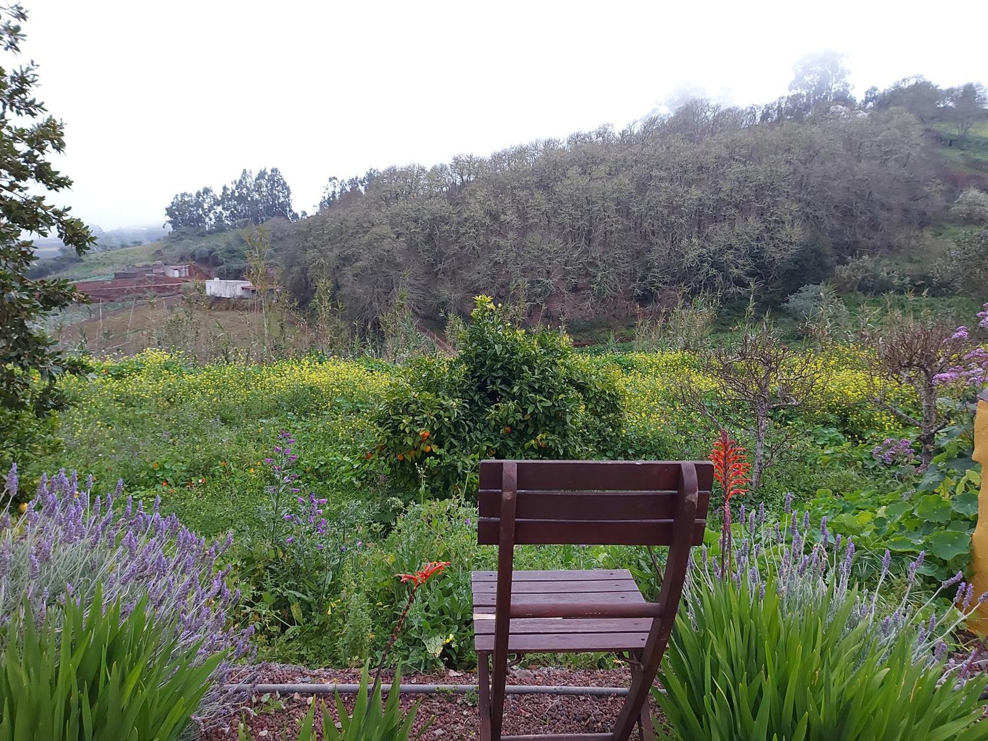 Finca Naturacanaria Moya  Eksteriør billede