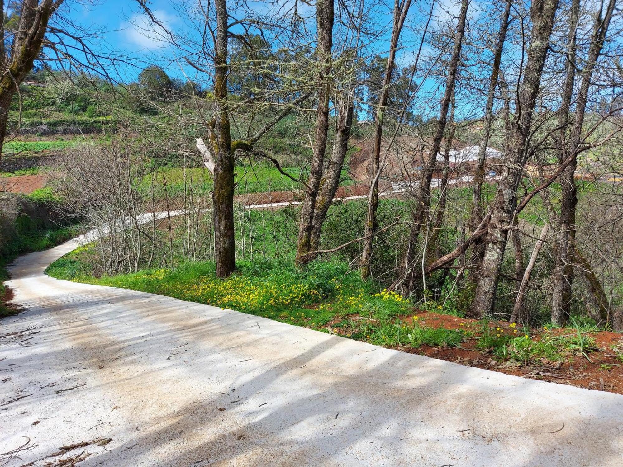 Finca Naturacanaria Moya  Eksteriør billede